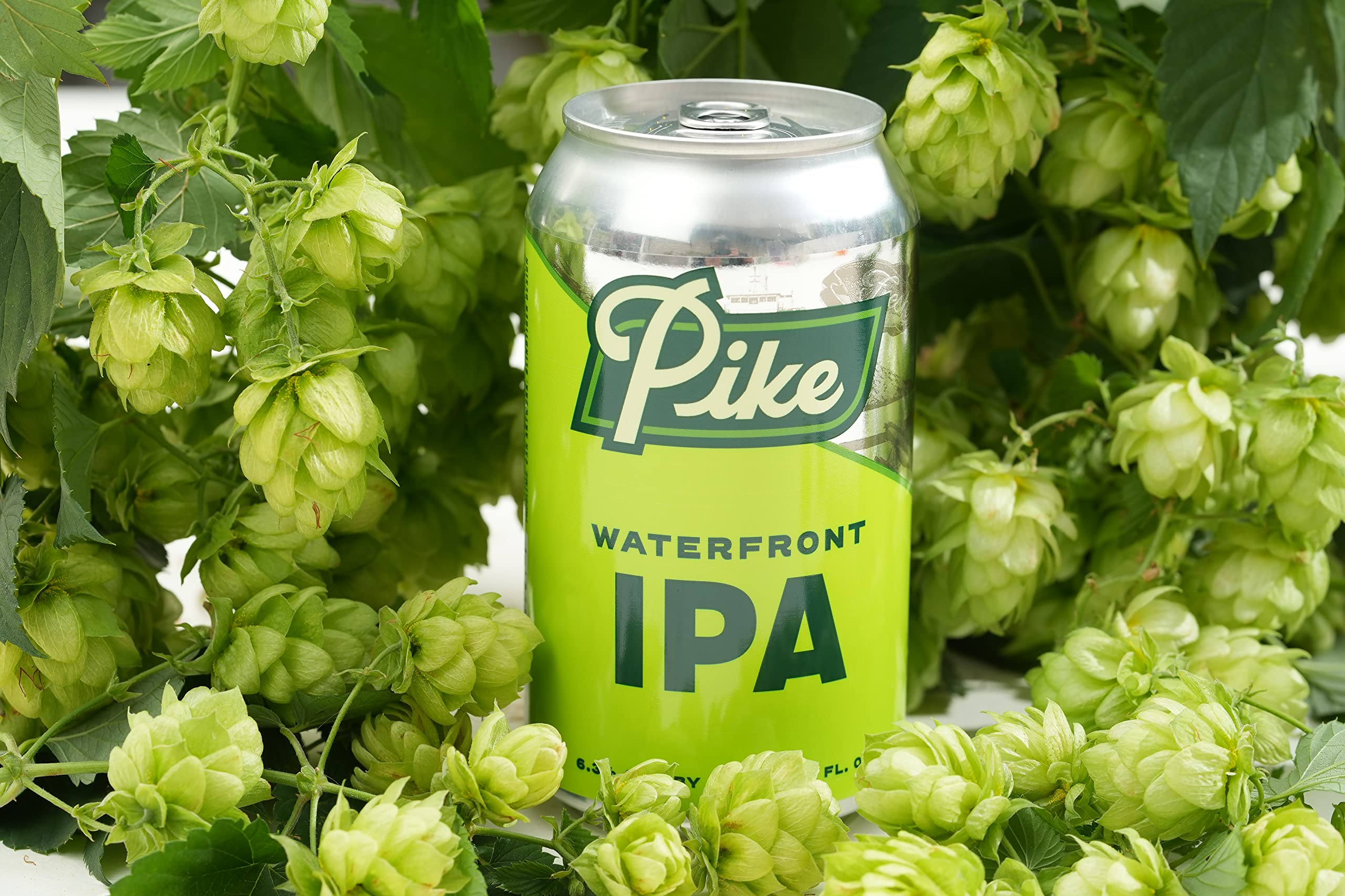 Amazon.co.jp: パイク ウォーターフロント355ml×24本 (PIKE WATERFRONT